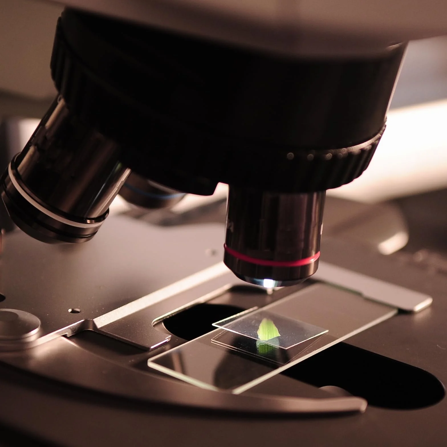 100 sztuk wstępnie oczyszczonych szkiełek do obiektów, 200 sztuk szkiełek osłonowych, mikroskopów z 4 kroplomierzem, do laboratorium, biologii, nauki, nauki