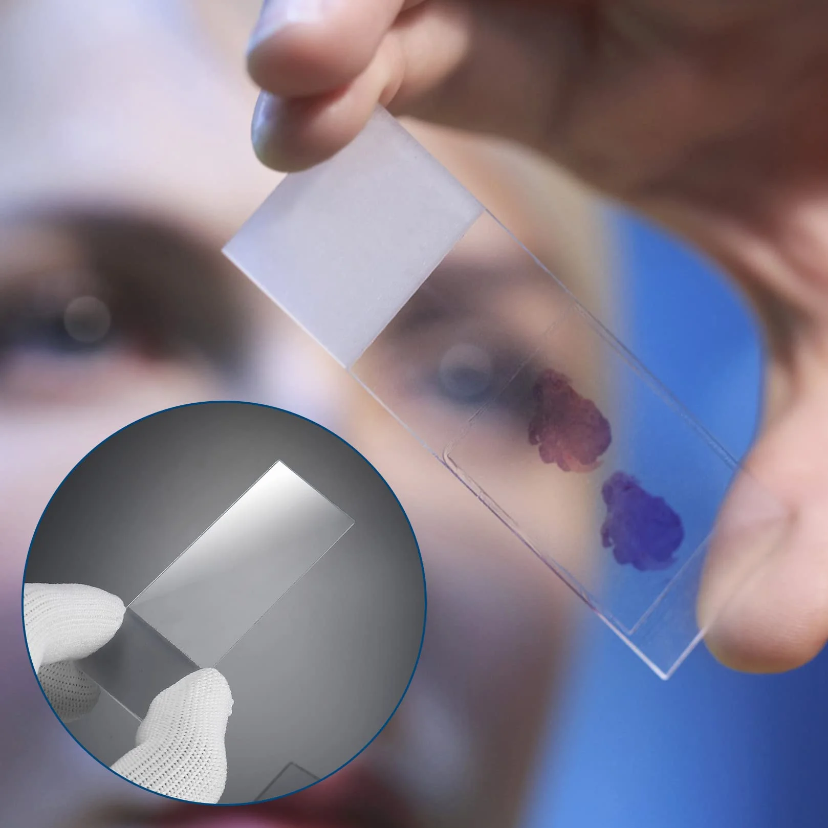 50 sztuk Przygotowane próbki mikroskopu i 100 szklanych szkieł mikroskopowych na mikroskop kryjący mikroskop, do badań naukowych laboratoryjnych z 5 zakraplaczami
