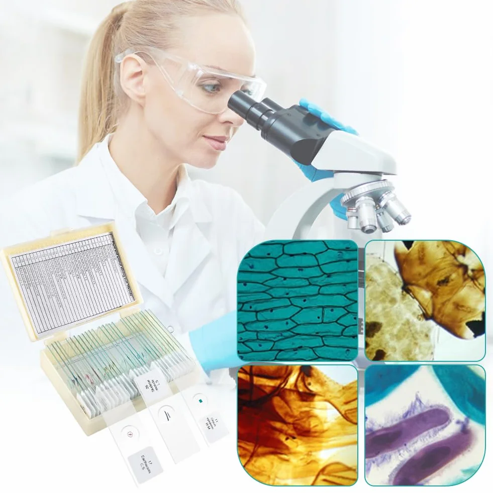 Zestaw 30 szkiełek mikroskopowych z próbkami biologicznymi, owadami, roślinami, komórkami ludzkimi, do laboratorium, biologii, metalu, LED, bez koloru