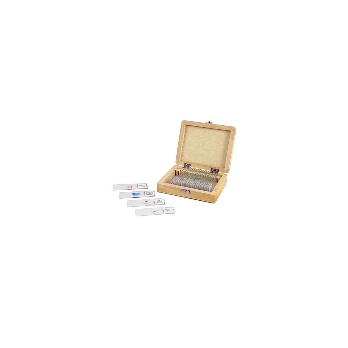 Celestron 44410 Prepared Microscope Slide Box, 25 Piece Set in Wooden Case, Light Brown