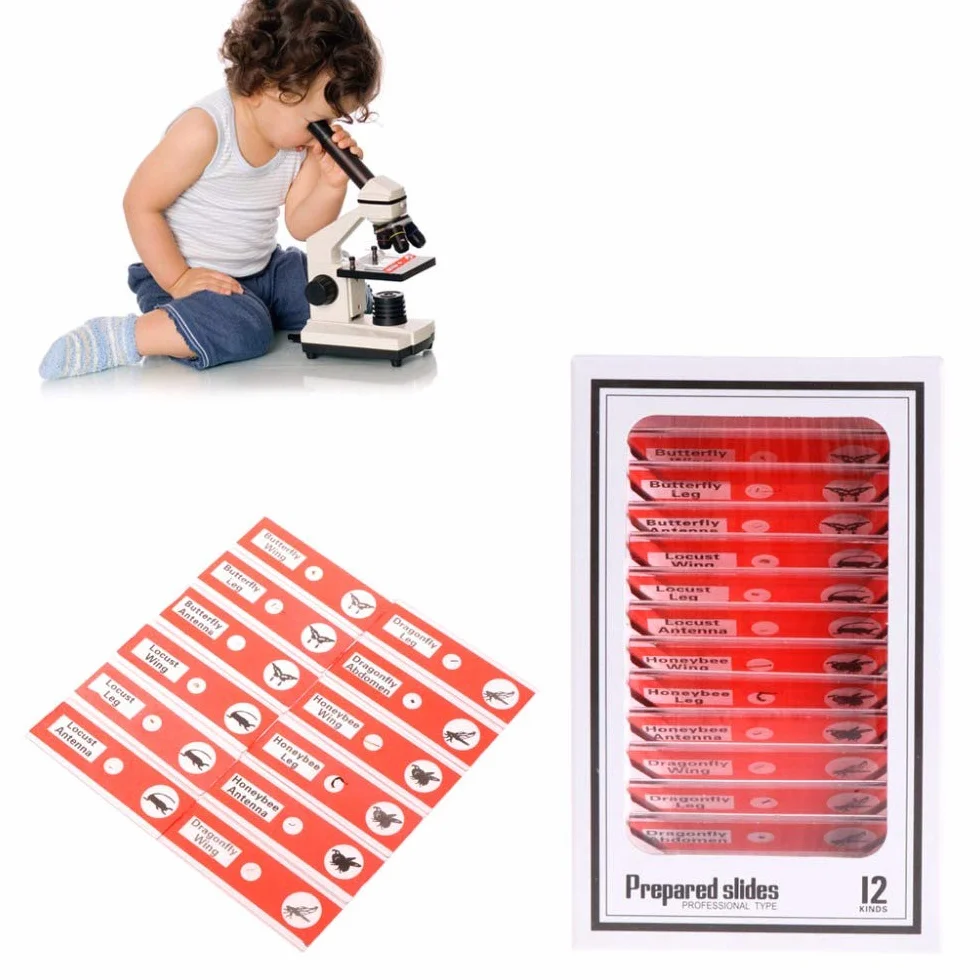 plastikowe preparaty mikroskopowe dla dzieci, 48 szt., zwierzęta, owady, rośliny, kwiaty, próbki próbek dla studentów, edukacja domowa, biologia, programy naukowe
