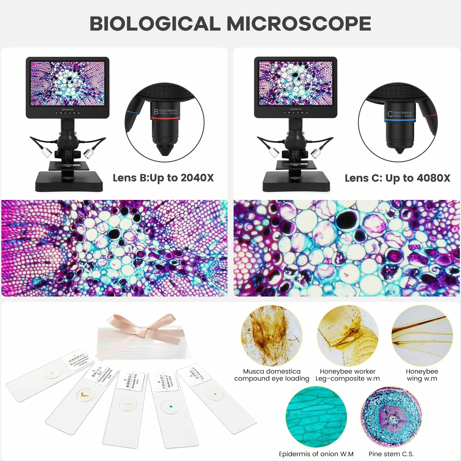 Andonstar AD249S-P Mikroskop cyfrowy HDMI 10,1 cala, obiektyw 4000 x 3 2160P UHD, zestaw mikroskopu biologicznego dla dorosłych, mikroskop monetowy do monet błędów, przygotowane slajdy, karta SD 32 G