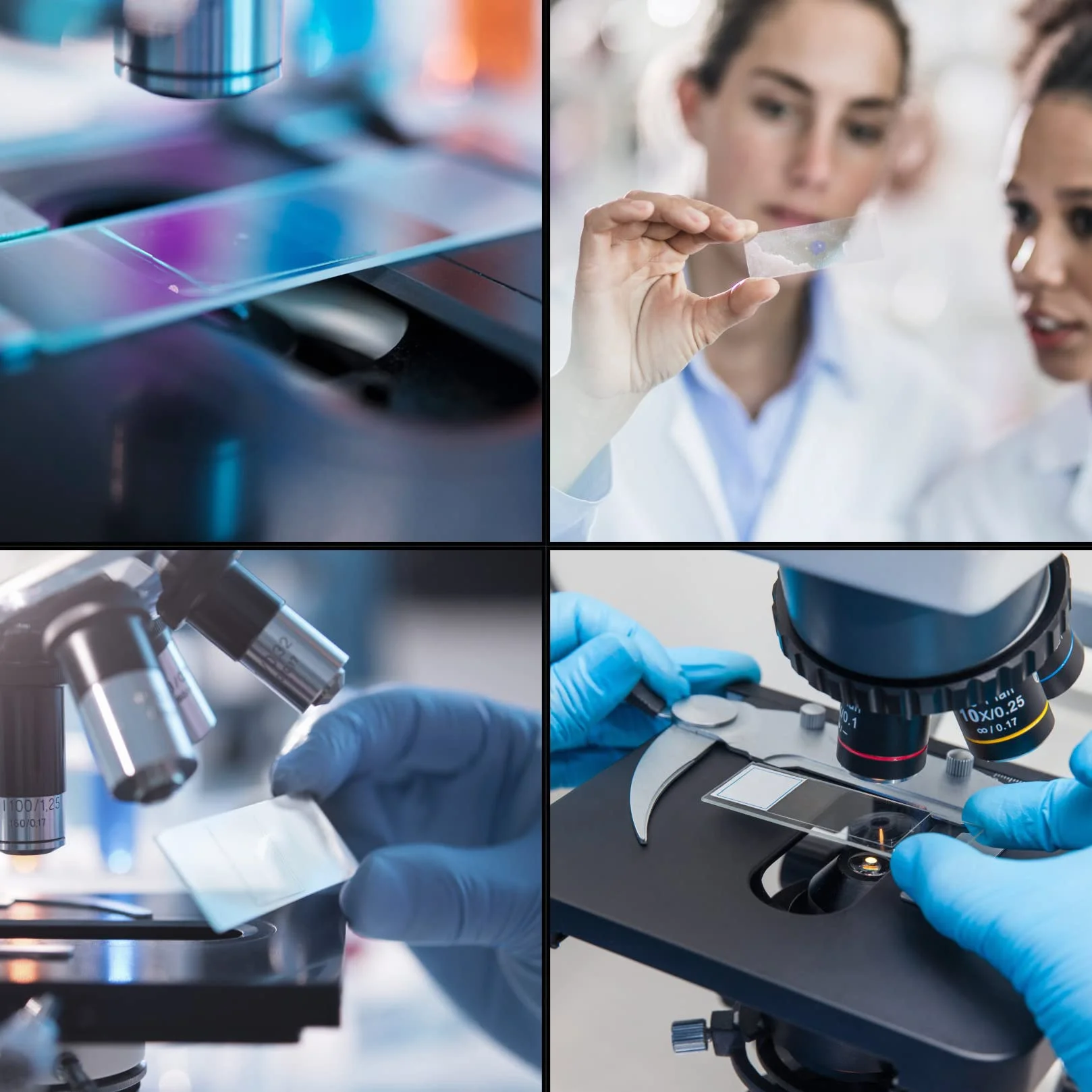 50 sztuk Przygotowane próbki mikroskopu i 100 szklanych szkieł mikroskopowych na mikroskop kryjący mikroskop, do badań naukowych laboratoryjnych z 5 zakraplaczami