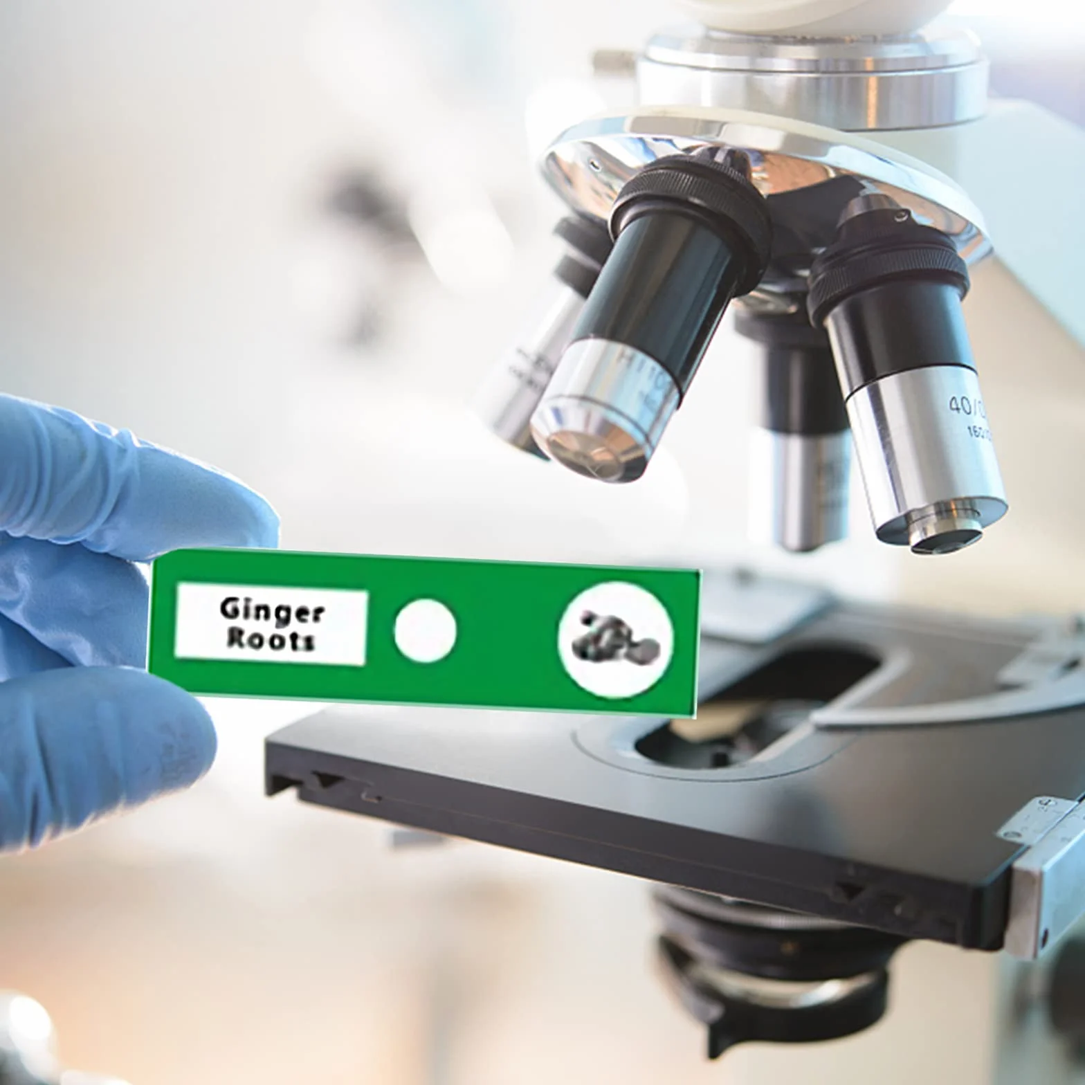 48 sztuk akcesoriów do mikroskopu, szkiełka mikroskopowe, próbka biologiczna, zwierzęta, owady, rośliny, kwiaty, próbki, próbki stereomikroskopów, szkiełka mikroskopowe, kształcenie naukowe dla