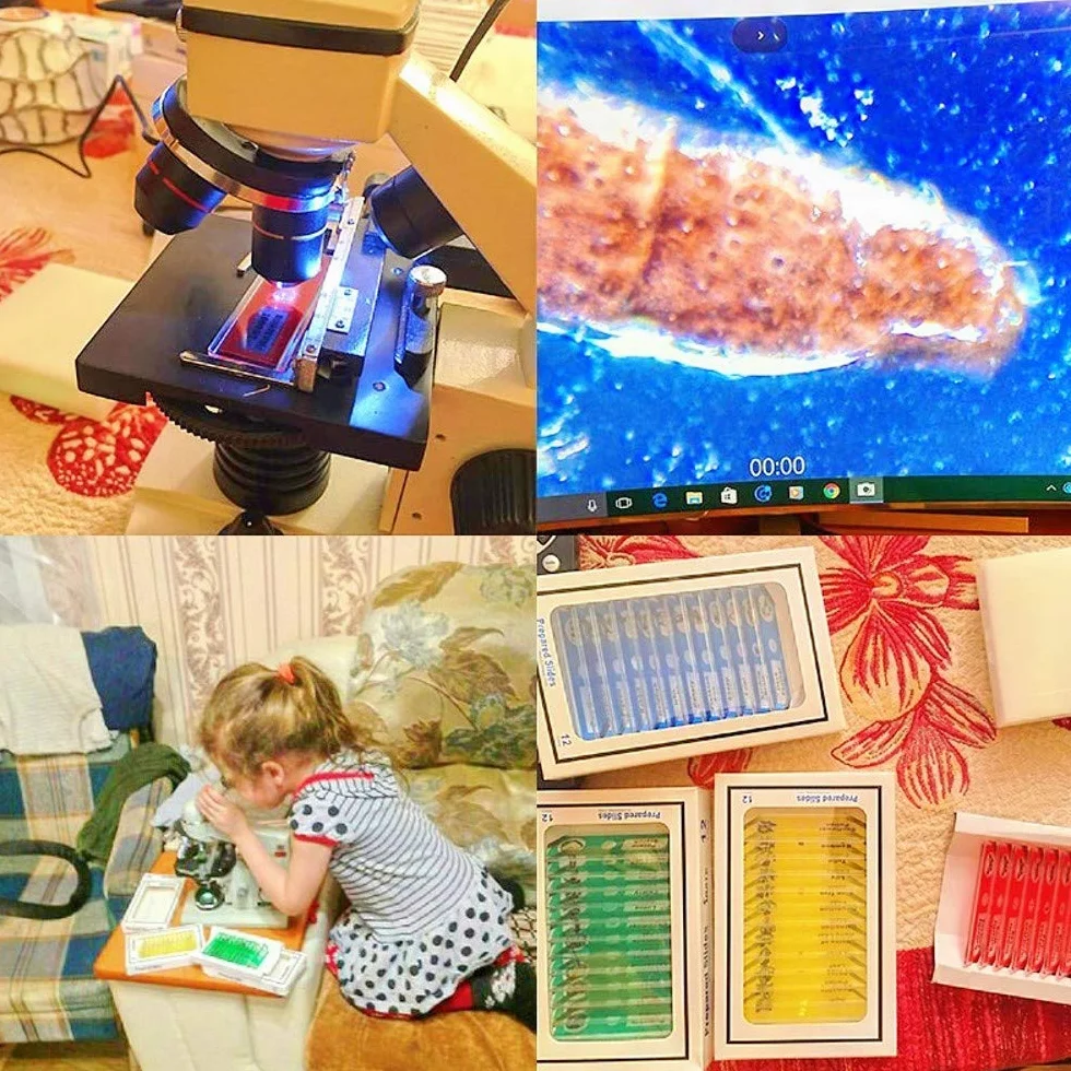 JZK 48 x szkiełka mikroskopowe z tworzywa sztucznego dla dzieci ze zwierzętami, owadami, roślinami, kwiatami, warzywami do treningu biologicznego