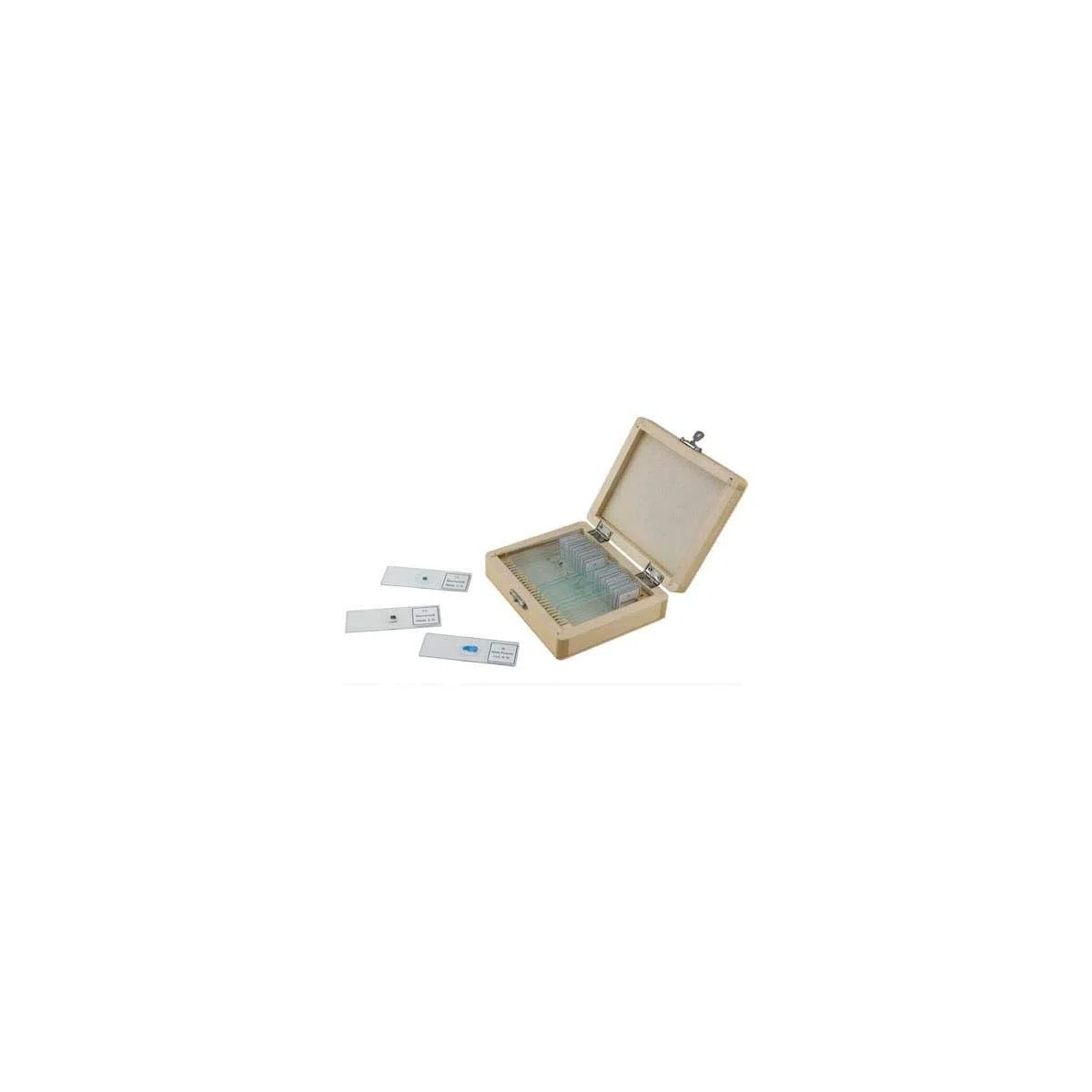 Celestron 44410 Prepared Microscope Slide Box, 25 Piece Set in Wooden Case, Light Brown