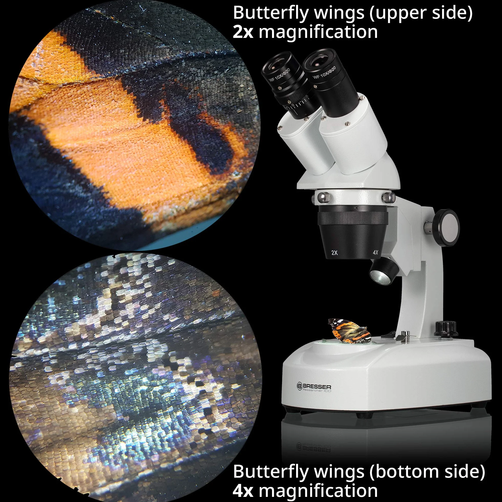 Bresser Mikroskop z oswietleniem padajacym Researcher ICD LED 20x-80x