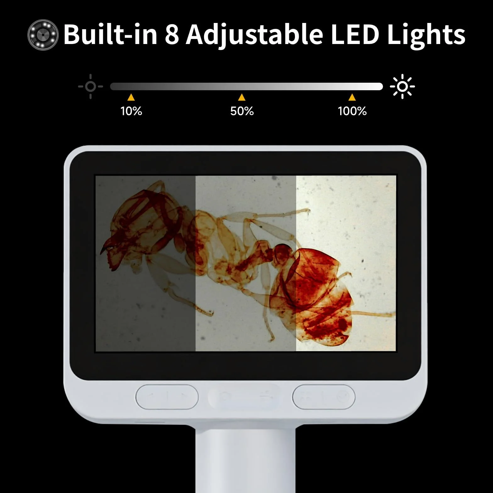 BEAVERLAB Mikroskop cyfrowy z ekranem IPS 10.2 cm, powiększenie 1600x, wideo HD 1080p, 8 regulowanych świateł LED, kompatybilny z komputerem, tabletem, smartfonem, laptopem