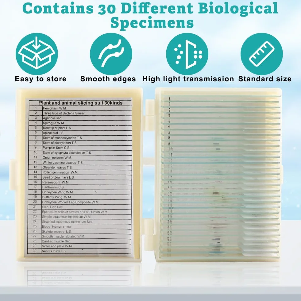 Zestaw 30 szkiełek mikroskopowych z próbkami biologicznymi, owadami, roślinami, komórkami ludzkimi, do laboratorium, biologii, metalu, LED, bez koloru