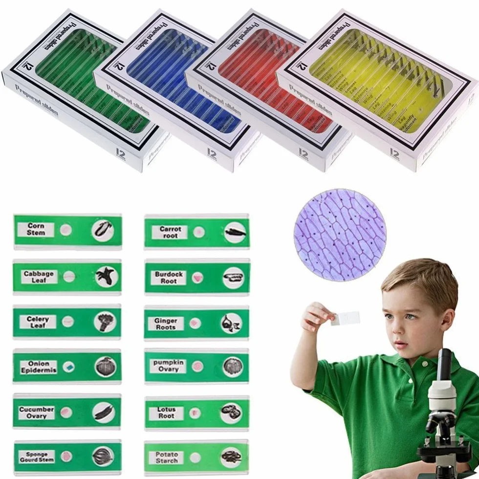 plastikowe preparaty mikroskopowe dla dzieci, 48 szt., zwierzęta, owady, rośliny, kwiaty, próbki próbek dla studentów, edukacja domowa, biologia, programy naukowe