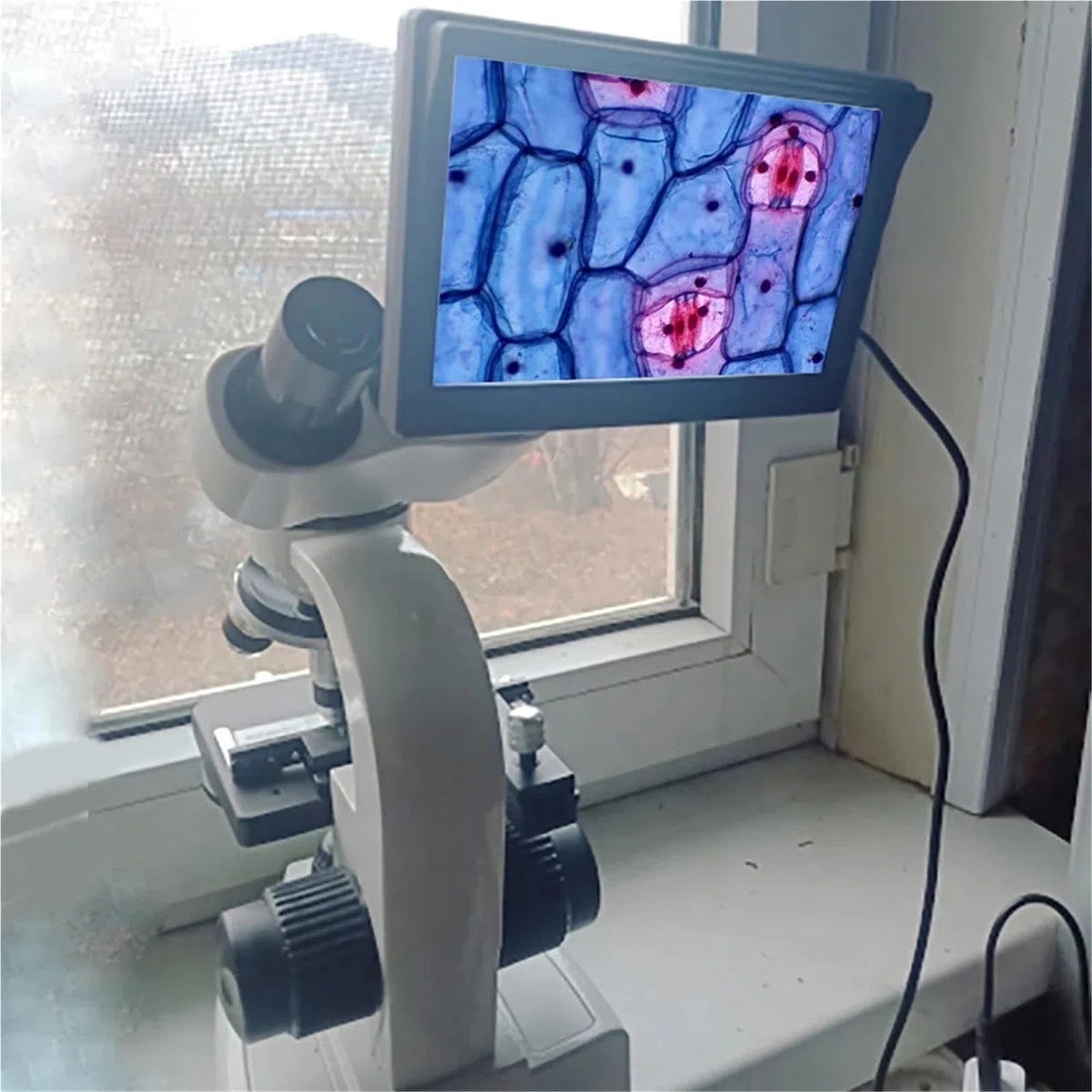 Mikroskop Stereoskopowy, 30000X Biologiczny teleskop HD Cyfrowy laboratoryjny złożony z okularami szerokokątnymi 10X i 50X do laboratorium