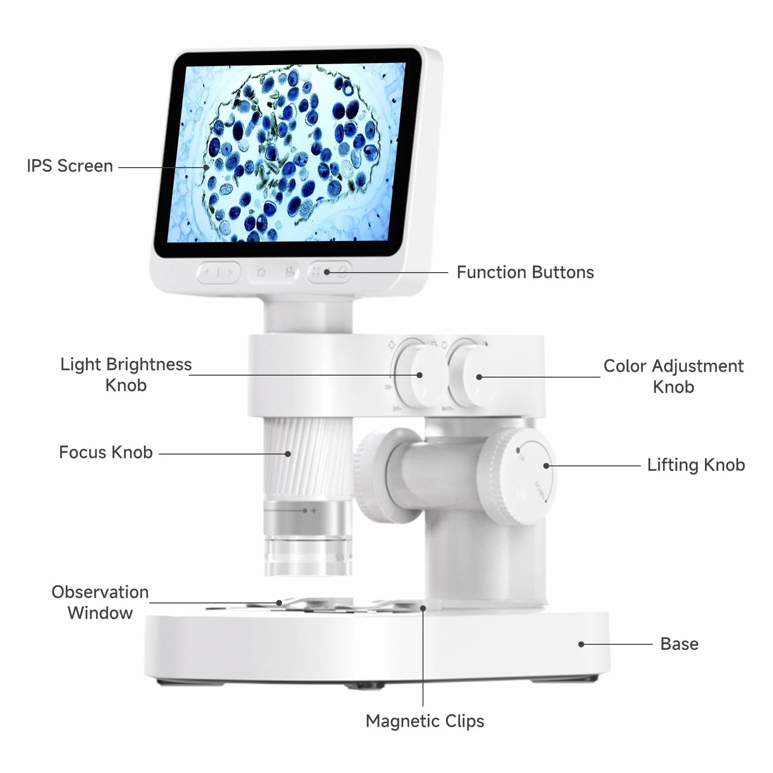 BEAVERLAB Mikroskop cyfrowy z ekranem IPS 10.2 cm, powiększenie 1600x, wideo HD 1080p, 8 regulowanych świateł LED, kompatybilny z komputerem, tabletem, smartfonem, laptopem