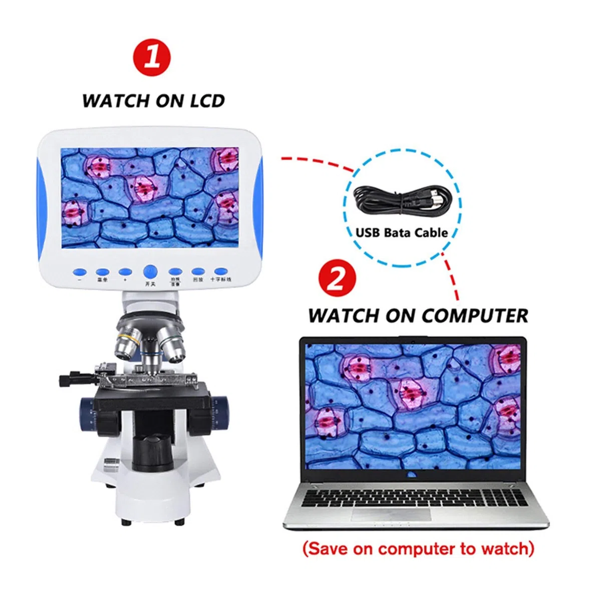 Mikroskop cyfrowy, Biologiczna mikroskop laboratoryjna, 7-calowy LCD Digital HD Conformal Conformator Gospodarowania ZOOM 2000X USB LED + Torba + Karta SD może przechowywać filmy i zdjęcia
