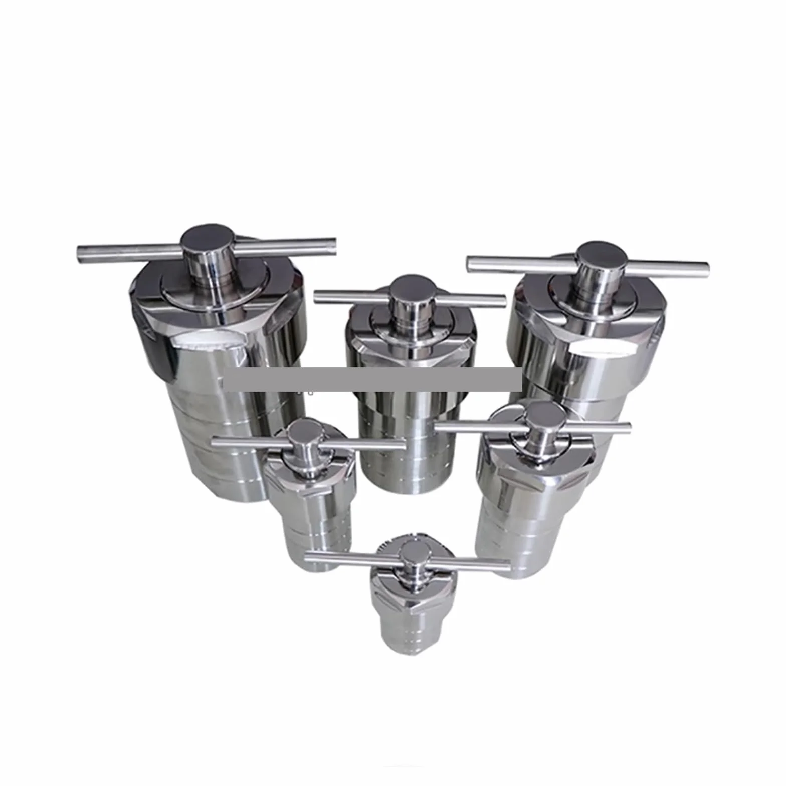 Autoklaw, 5-500 ml hydrotermalny reaktor autoklawowy z komorą PTFE Wysokociśnieniowy zbiornik do syntezy hydrotermalnej do laboratorium(25ml inner pot)